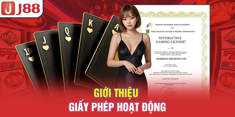 Giới thiệu giấy phép hoạt động