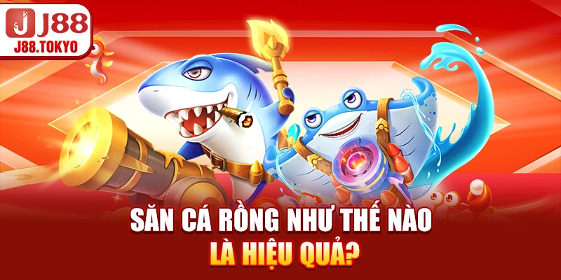 Săn cá rồng như thế nào là hiệu quả?